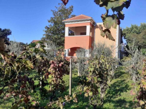 Apartments Rolovina